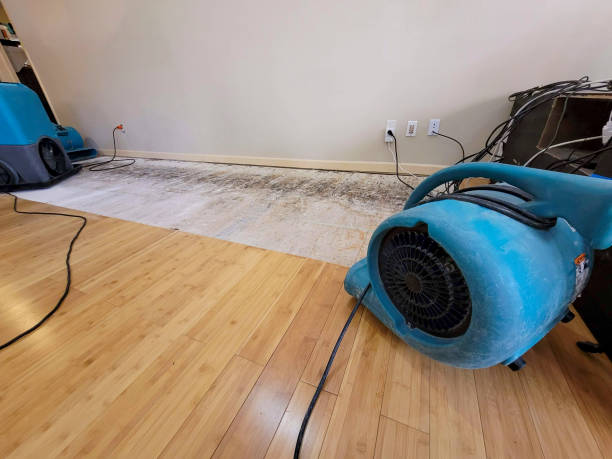 Professional Water Removal technician working in Little Compton, RI